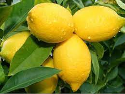 صابون لیمو سنگی