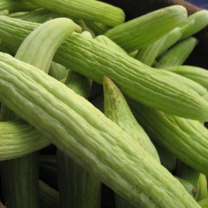 بذر خیار چنبر1